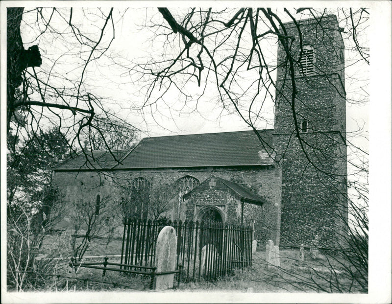 Bridgham's view of nature - Vintage Photograph
