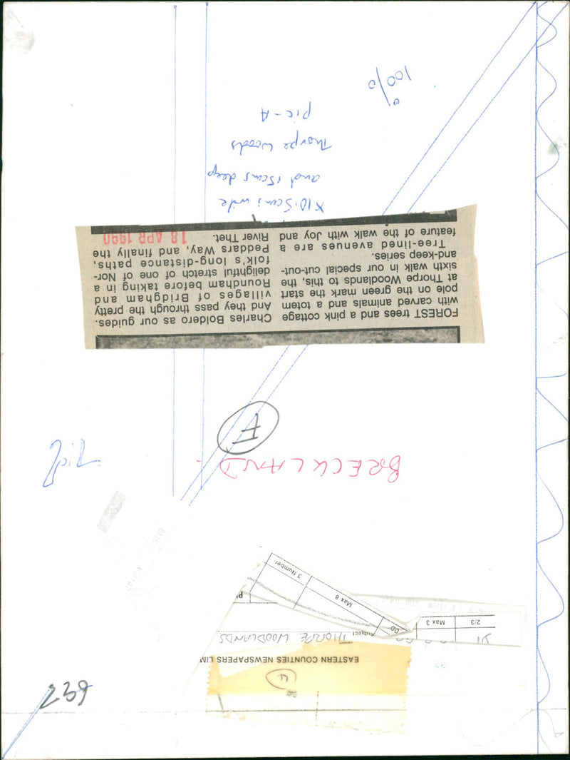 Bridgham's view of nature - Vintage Photograph