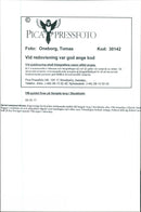 Ice Hockey World Cup 1998. Cheer in Stockholm after Sweden's victory - Vintage Photograph