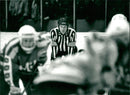 Ice hockey. Judge HÃ¥kan BjÃ¶rkman - Vintage Photograph