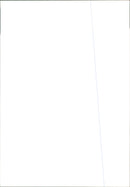 Finnish ice hockey national team - Vintage Photograph