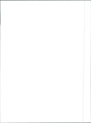 Robert Holik, Robert Reichel and JaromÃ­r JÃ¡gr - Vintage Photograph