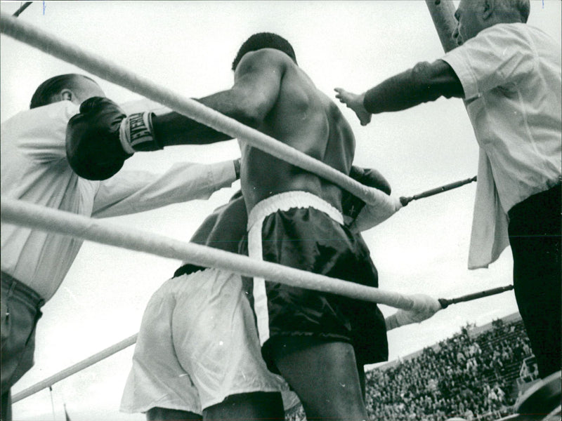 Eddie Machen, boxing - Vintage Photograph