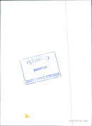 Ingemar Johansson, boxer - Vintage Photograph