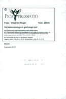 Blur, pop group England - Vintage Photograph