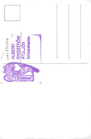 Artist, Michael Bolton, USA - Vintage Photograph