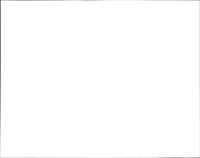 Zana Muhsen. - Vintage Photograph