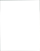 Panda - Vintage Photograph