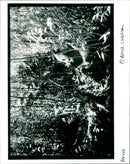 Panda - Vintage Photograph