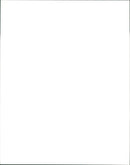 Panda - Vintage Photograph