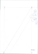 Panda - Vintage Photograph