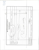 Giant panda. - Vintage Photograph