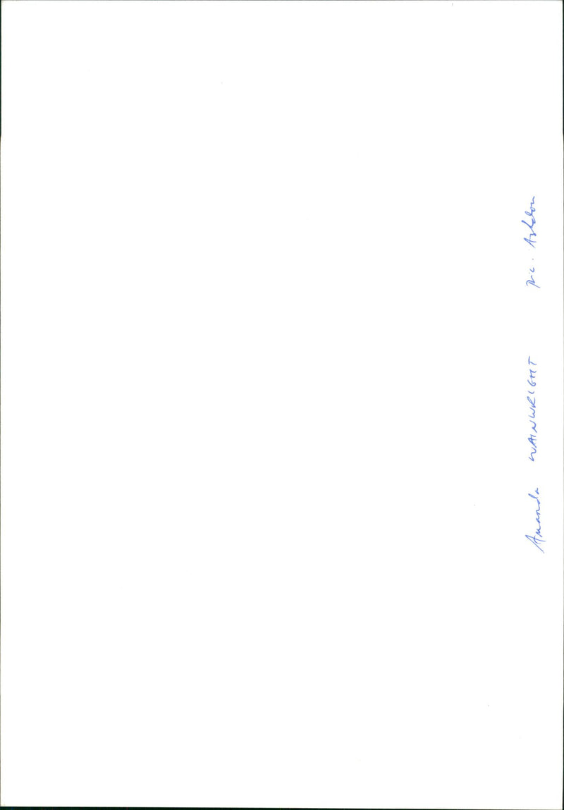 Mandy Wainright (Tennis Player) - Vintage Photograph