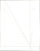 Parrot, Scarlet Macaw - Vintage Photograph