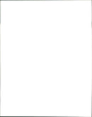 Parrot - Vintage Photograph