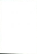 Parrot - Vintage Photograph