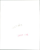 Parrot, Scarlet Macaw - Vintage Photograph