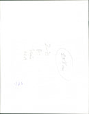 Parrot - Vintage Photograph