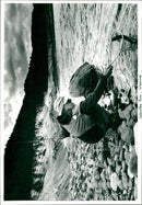 Garden Parks - Vintage Photograph