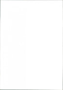 Yellow Stone Parks - Vintage Photograph