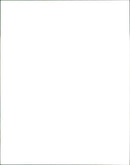 Yellow Stone Parks - Vintage Photograph