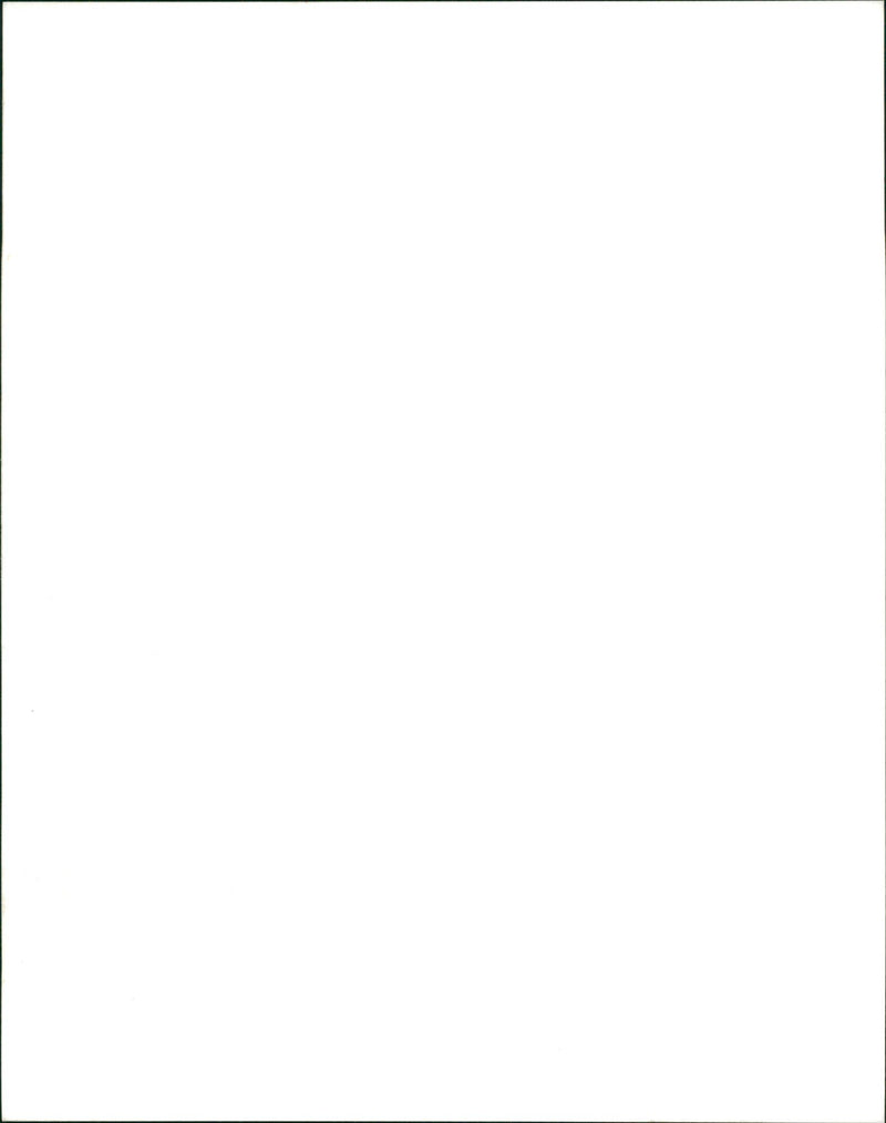 Yellow Stone Parks - Vintage Photograph