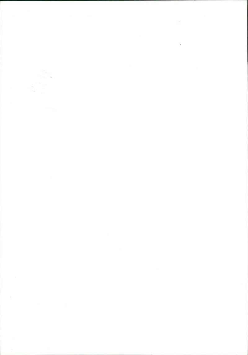 Garden Parks - Vintage Photograph