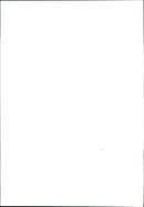 Statue of Francis Scott Fitzgerald, American writer - Vintage Photograph