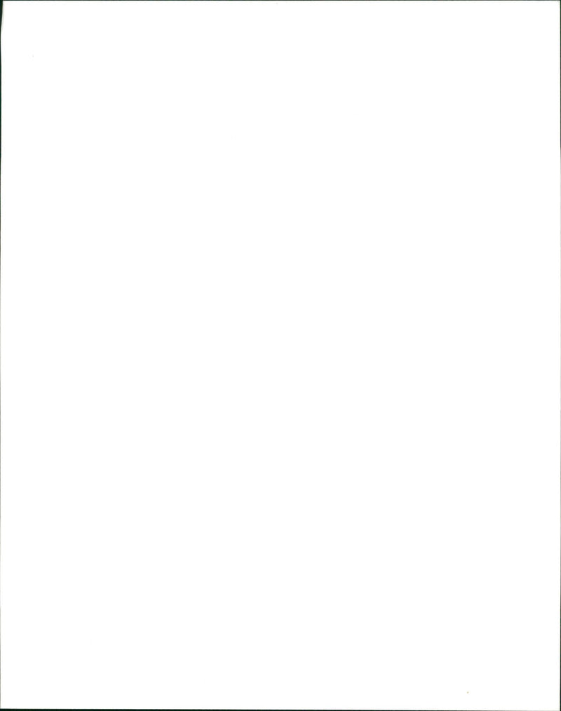 Bruce Springsteen - Vintage Photograph