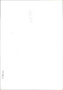 Bruce Springsteen - Vintage Photograph