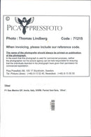 1996 SWEDEN FOOTBALL COUNTRY PICA THOMAS PER ITALY FERRARI PRESS - Vintage Photograph