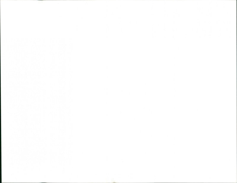 MC Hammer ,Kurd Aid Concert - Vintage Photograph