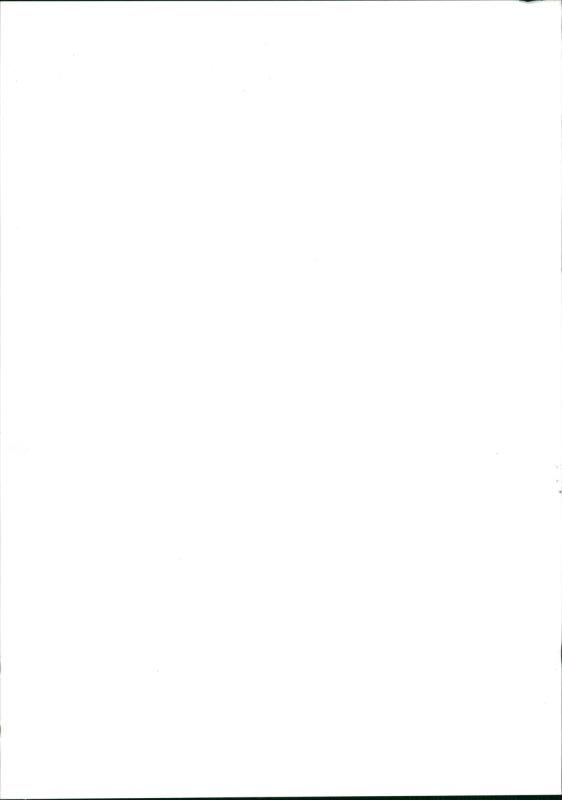 Banner Waving Audience- Kurd Aid Concert - Vintage Photograph