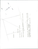 CARL BILDT - Vintage Photograph