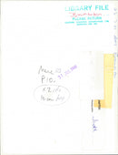 view of lake. - Vintage Photograph