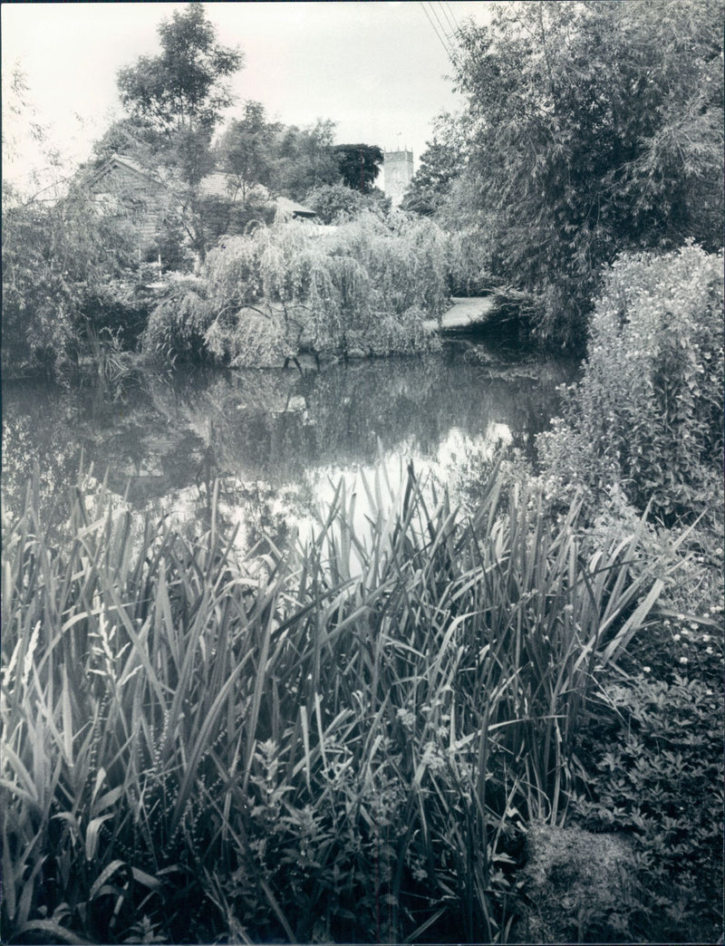 view of lake. - Vintage Photograph