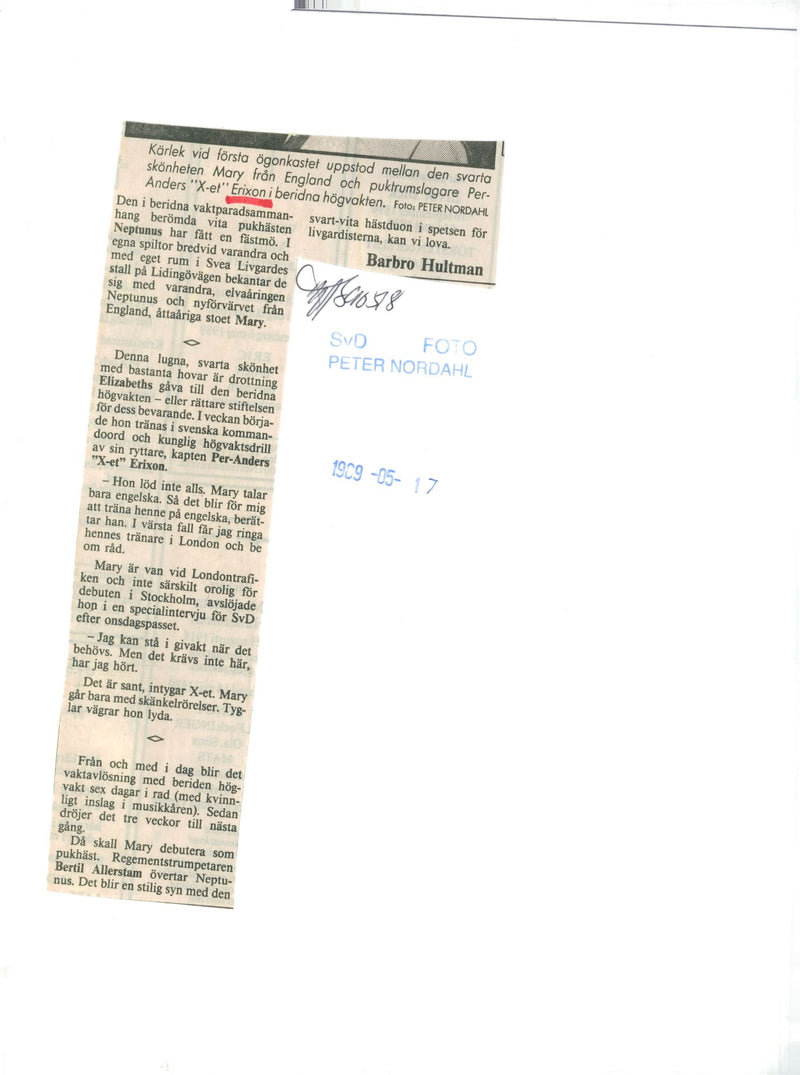 Per-Anders Erixon musician - Vintage Photograph