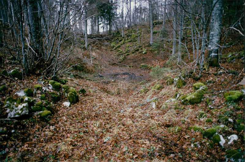 France: Case law / Murder. The site where 16 burned bodies were found in Saint-Pierre-de-Cherennes - Vintage Photograph