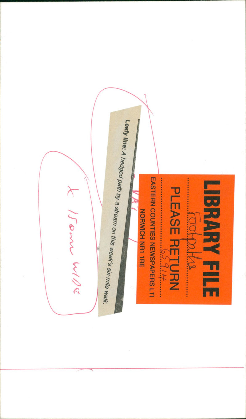 View of the nature. - Vintage Photograph