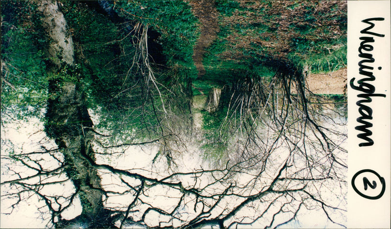 View of the nature. - Vintage Photograph