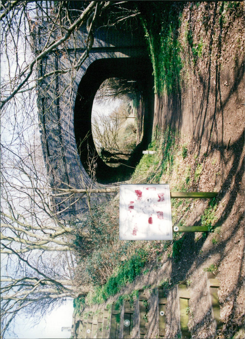 View of the nature. - Vintage Photograph