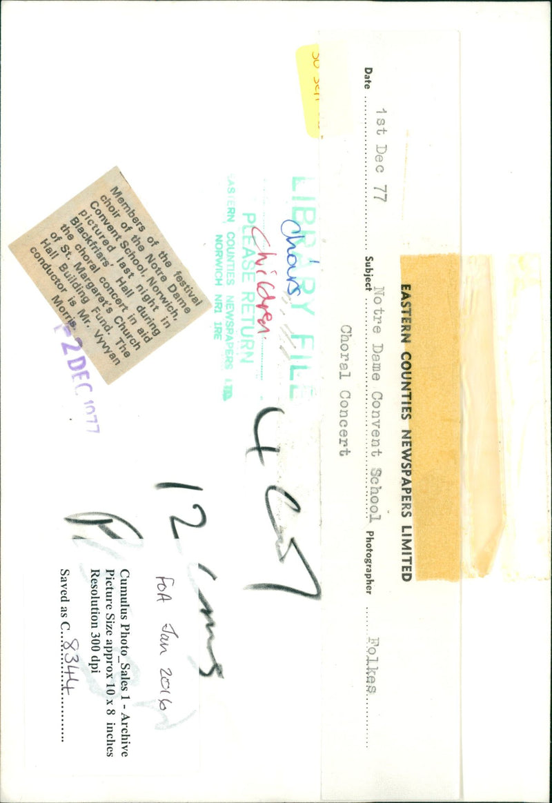 FOLK CONCERT MEMBERS FESTIVAL - Vintage Photograph