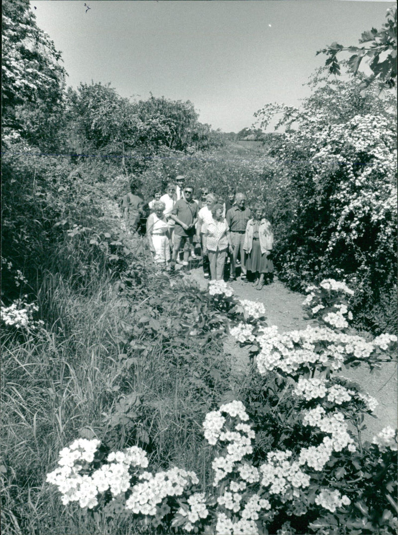 View of the nature. - Vintage Photograph