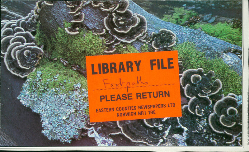 View of the nature. - Vintage Photograph