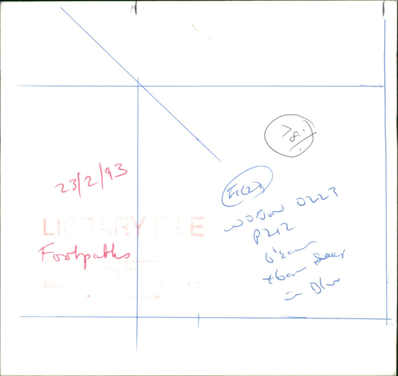 View of the nature. - Vintage Photograph