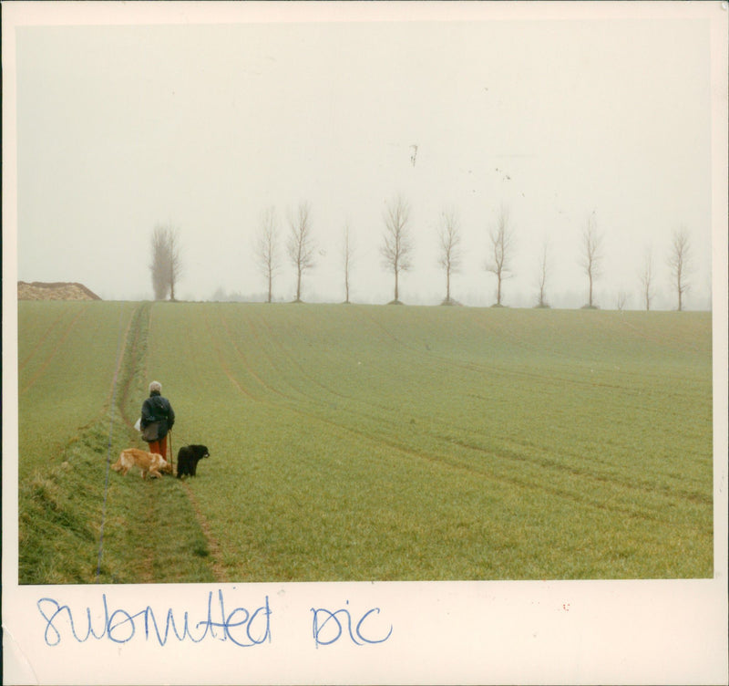View of the nature. - Vintage Photograph