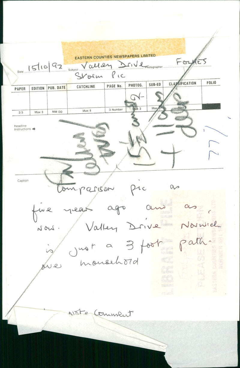 View of the nature. - Vintage Photograph