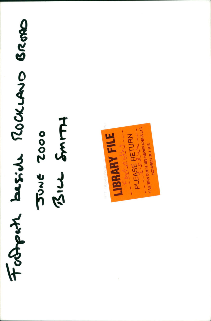 View of the nature. - Vintage Photograph