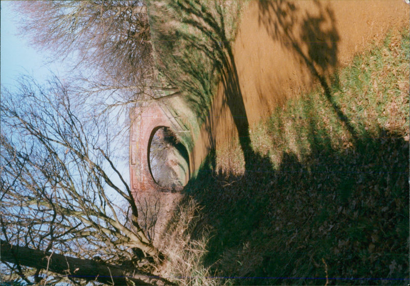 View of the nature. - Vintage Photograph