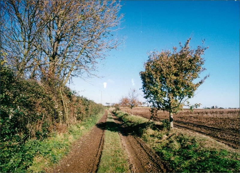 View of the nature. - Vintage Photograph